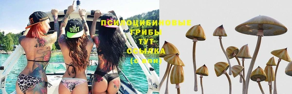 прущая мука Новодвинск