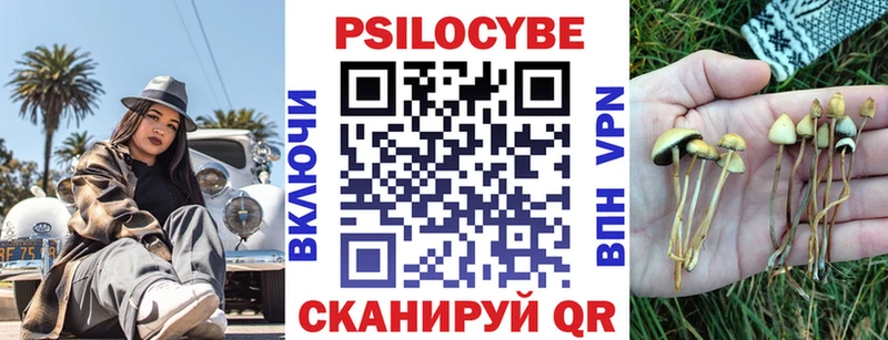 ссылка на мегу маркетплейс  Электросталь  Псилоцибиновые грибы MAGIC MUSHROOMS 