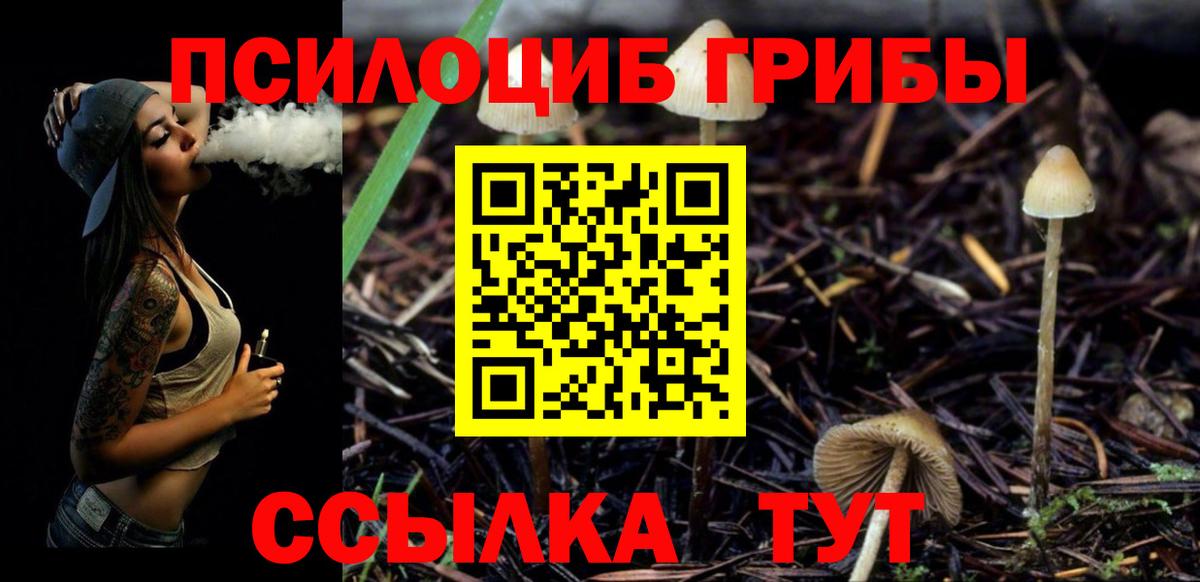 наркошоп  Вход с VPN  Электросталь  Псилоцибиновые грибы ЛСД 