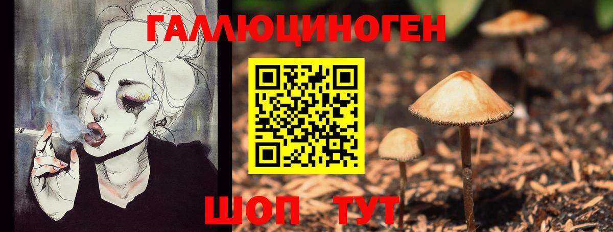 Галлюциногенные грибы Psilocybine cubensis Электросталь